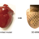 Illustration for article titled Revolutionary membrane can keep your heart beating perfectly forever